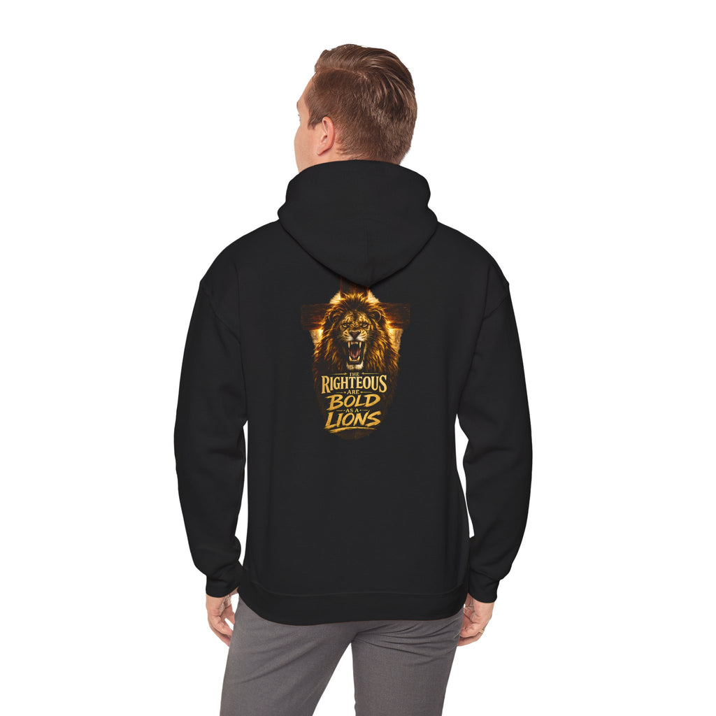 Bold as Lions Hoodie - Pull Over Hoodie for Christian Men - Faith Gift for Dad - Bold Christian Clothes
